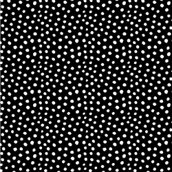 DOT BLACK W WHITE