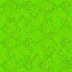 VIRBRANT LIFE GREEN