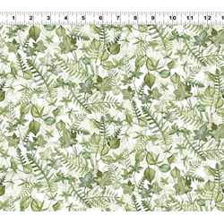 2025 WWQSH FOLIAGE