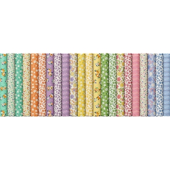 AUNT GRACE'S GARDEN VARIETY 2 1/2 STRIPS
