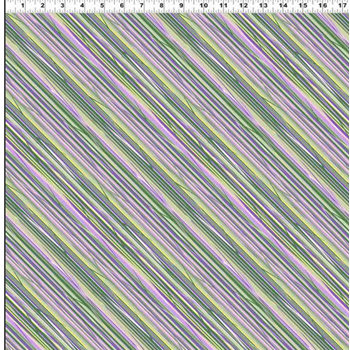 2025 WWQSH STRIPE