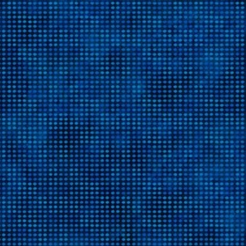 RICH NAVY DIT DOT